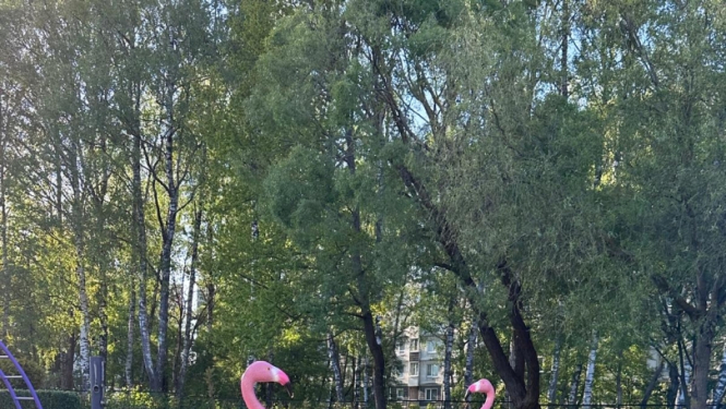 ¹