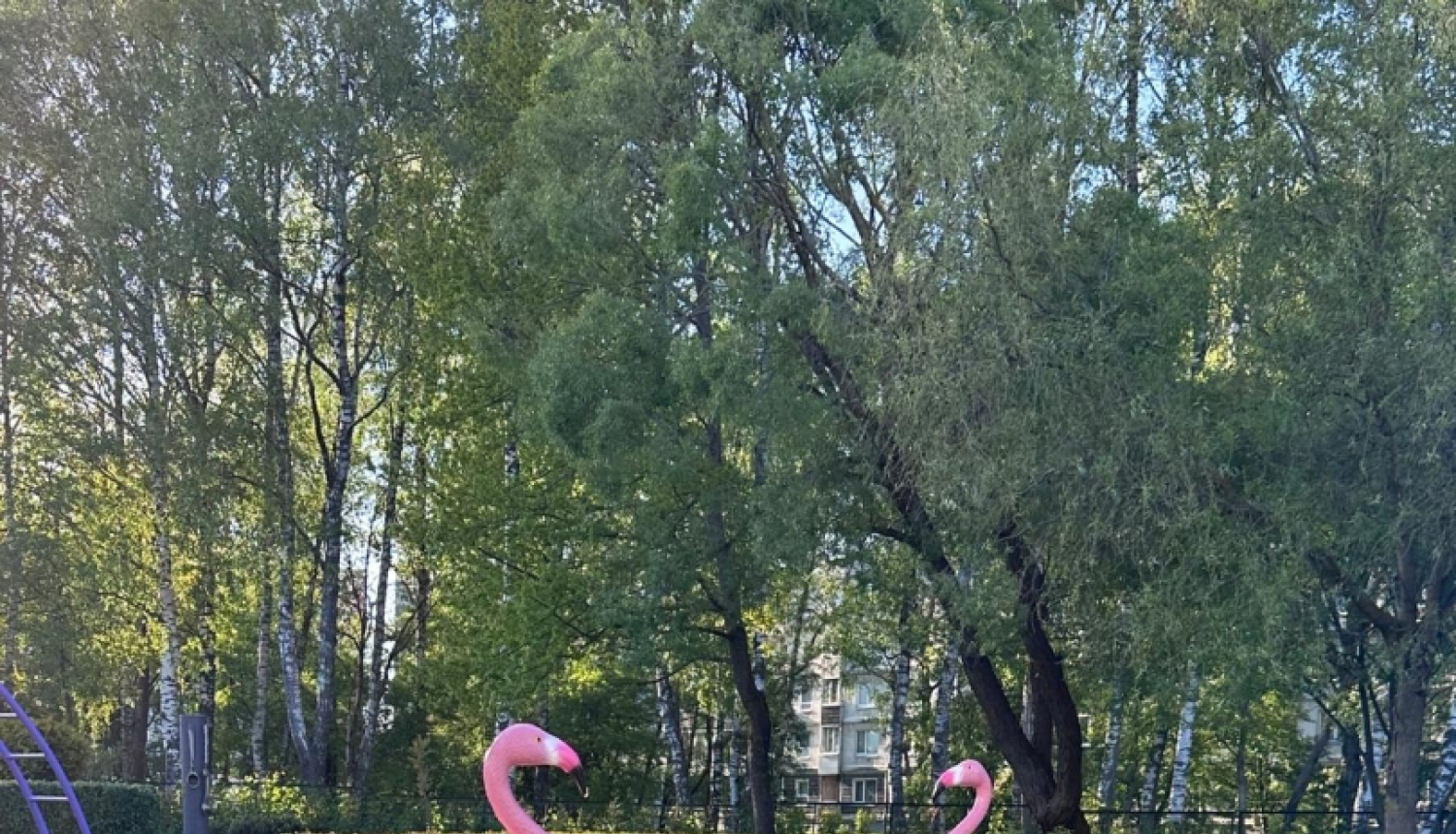 ¹